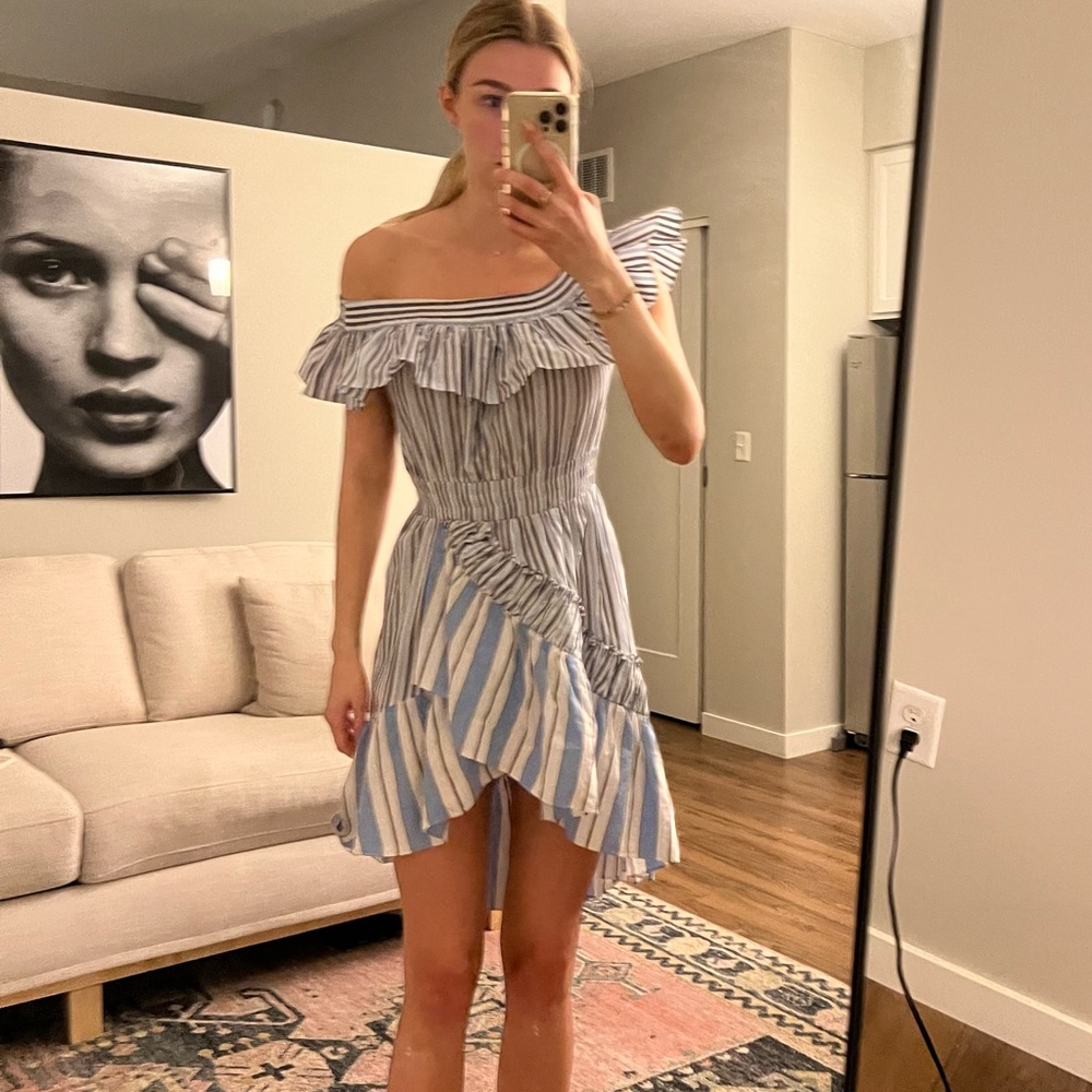 Misa Los Angeles Dress xsmall